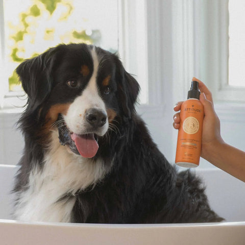 Pet Detangler - Anti-itching Lavender-8 FL. OZ.